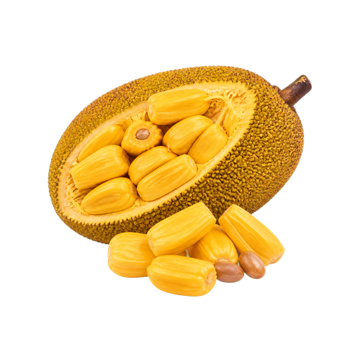 Jackfruit sticker illustration
